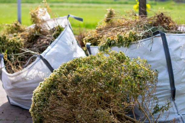Best Furniture Removal  in Springfield, MA